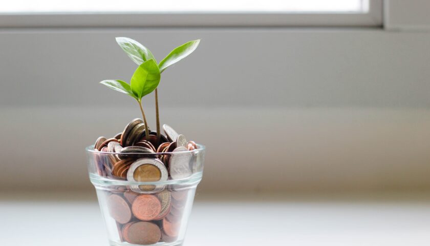Don’t be a finance dummy! The Swoop guide to SME finance in five easy steps