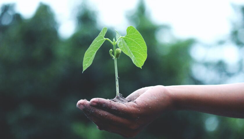 Sustainable financing practices for SMEs