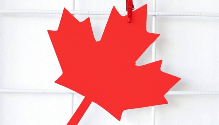 How could your business benefit from Canada’s Small Business Financing Program?