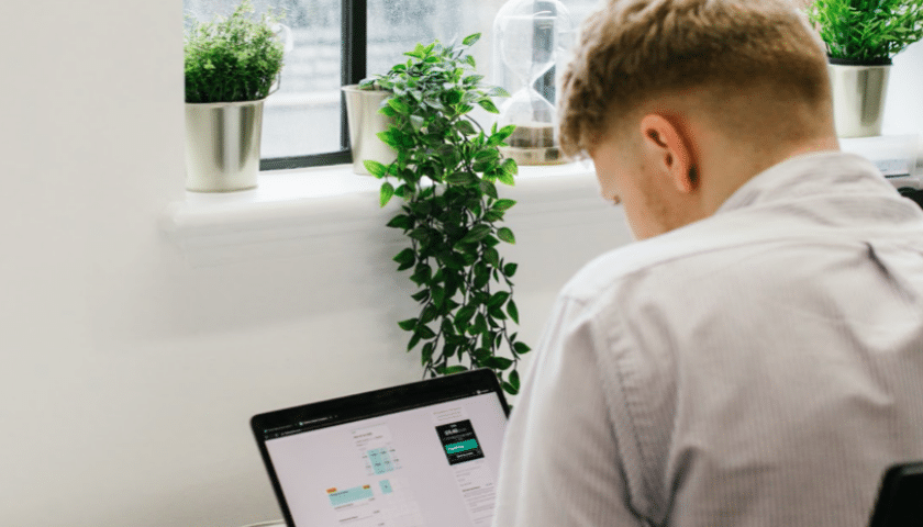 SEIS – the Seed Enterprise Investment Scheme explained