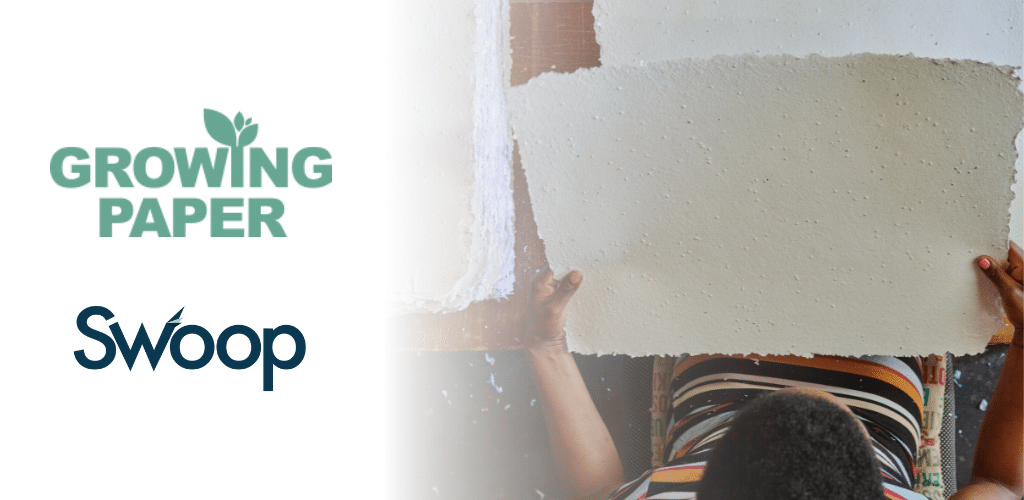 Growing the business of Growing Paper: how Swoop is helping a Namibian business get ready to hit the international market