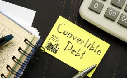 Convertible Loan