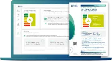 Swoop credit score report