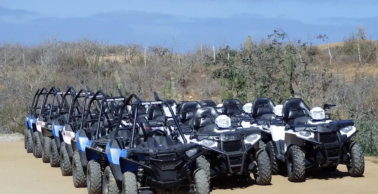 Quad Bike