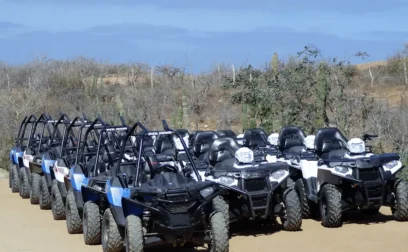 Quad Bike